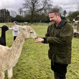 lunch-with-our-alpacas-2-5